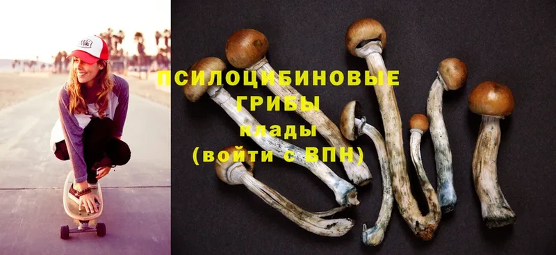 Псилоцибиновые грибы Magic Shrooms  ОМГ ОМГ зеркало  Арсеньев 